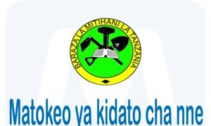 NECTA Matokeo Kidato cha Nne 2023/2024, Necta Form Four Results Matokeo Kidato cha Nne 2023-2024,Necta Form Four Results Matokeo Kidato cha Nne 2023 ,Form FourResults 2023, Matokeo Form Four 2023/2024,NECTA Kidato cha Nne 2023,Matokeo ya form Four 2023/2024,Form 4 CSEE 2023 Tanzania Matokeo Ya Kidato Cha Nne Mwaka 2023/2024, matokeo.necta.go.tz, NECTA PSLE Results 2023, PSLE examination, matokeo.necta.go.tz,National Examinations Council of Tanzania, Necta Results - Necta Results, NECTA news 2023,www.necta.go.tz 2023,NECTA Form Four Results,Necta Login,NECTA Results 2023,www.necta.go.tz,Acsee 2023 examination, ACSEE RESULTS,CSEE RESULTS,PSLE RESULTS,News, FTNA RESULTS.