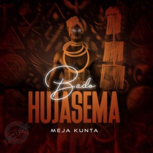 NEW AUDIO | Meja Kunta – Bado Hujasema | Download Mp3