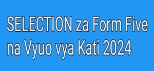 SELECTION za Form Five na Vyuo vya Kati 2024, Orodha Ya Majina Ya Wanafunzi Waliochaguliwa Kujiunga Na Kidato Cha Tano Na Vyuo 2024, Selection za Form Five 2024/2025, Waliochaguliwa Kujiunga na Kidato Cha Tano 2024/2025, Waliochaguliwa Kujiunga na Kidato Cha Tano na Vyuo vya Kati 2024/2025, Form Five Selection 2024/2025 - Majina ya Waliochaguliwa Kidato Cha Tano 2024.