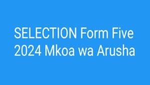 SELECTION Form Five 2024 Mkoa wa Arusha, Waliochaguliwa Kujiunga na Kidato Cha Tano 2024 Mkoa wa Arusha,Selection Form Five 2023 to 2024 download, Selection form five 2024 results, Selection form five 2024 pdf download, Selection form five 2024 pdf.