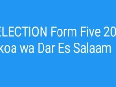 SELECTION Form Five 2024 Mkoa wa Dar Es Salaam