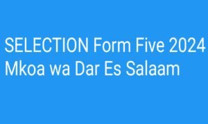 SELECTION Form Five 2024 Mkoa wa Dar Es Salaam , Waliochaguliwa Kujiunga na Kidato Cha Tano 2024 Mkoa wa Arusha,Selection Form Five 2023 to 2024 download, Selection form five 2024 results, Selection form five 2024 pdf download, Selection form five 2024 pdf.