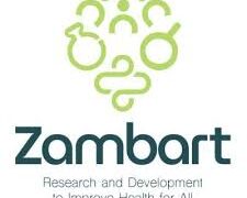 Study Manager at Zambart January 2024