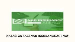 NAFASI za Kazi NAD Insurance Agency 2024, Job Opportunities at NAD Insurance Agency Company Limited January 2024,Unskilled jobs in Tanzania today,Job opportunities in Mwanza,Job Opportunities in Tanzania,Job vacancies today,New Sales jobs today Tanzania,Jobs in Tanzania for foreigners,Sales jobs in Mwanza.