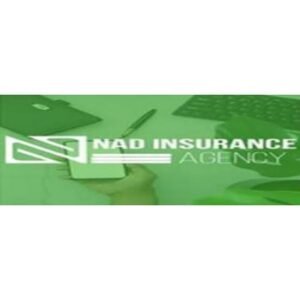 NAFASI za Kazi NAD Insurance Agency 2024, Job Opportunities at NAD Insurance Agency Company Limited January 2024,Unskilled jobs in Tanzania today,Job opportunities in Mwanza,Job Opportunities in Tanzania,Job vacancies today,New Sales jobs today Tanzania,Jobs in Tanzania for foreigners,Sales jobs in Mwanza.