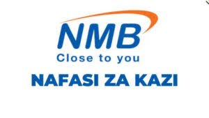 NAFASI za Kazi NMB Bank Tanzania January 2024,Head; Software Engineering at NMB Bank PLC,Nafasi za kazi nmb bank tanzania january 2024 online, Nafasi za kazi nmb bank tanzania january 2024 login, Nafasi za kazi nmb bank tanzania january 2024 apply.