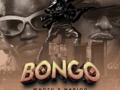 NEW AUDIO | Whozu X Marioo – Bongo | Download Mp3