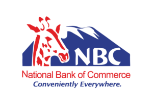 NAFASI Mpya za Kazi NBC Bank February 2024, Nafasi za kazi NBC Bank 2024, Nafasi mpya za kazi nbc bank february 2024 login, Nafasi mpya za kazi nbc bank february 2024 apply, NBC Bank internship 2024, NBC Vacancies February 2024, Ajira portal.