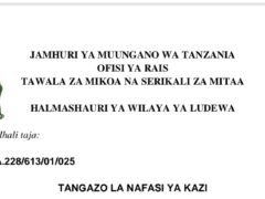 NAFASI za Kazi Halmashauri ya Wilaya ya Ludewa February 20-2024