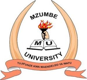 NAFASI za Kazi Chuo Kikuu cha Mzumbe February 05-2024,Mzumbe vacancies February 2024, Ajira portal login at Mzumbe University, Ajira Mzumbe, New Jobs Vacancies at Mzumbe University February 2024.