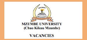 NAFASI za Kazi Chuo Kikuu cha Mzumbe February 05-2024,Mzumbe vacancies February 2024, Ajira portal login at Mzumbe University, Ajira Mzumbe, New Jobs Vacancies at Mzumbe University February 2024.