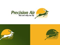 NAFASI za Kazi Mpya Precision Air Tanzania February 2024