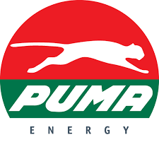 NAFASI za Kazi Puma Energy February 2024,Nafasi za kazi puma energy february 2024 vacancies,Nafasi za kazi puma energy february 2024 jobs.