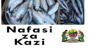 NAFASI za Kazi Wizara ya Mifugo na Uvuvi Tanzania March 2024, Jobs at Ministry of Livestock and Fisheries March 2024, Nafasi za kazi wizara ya kilimo na mifugo, Majina ya interview, waliochaguliwa mifugo ajira.