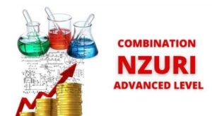 COMBI Nzuri za Kusoma Form Five 2024/2025, Zifahamu Combi Nzuri za Kusoma Form Five 2024, Combinations to choose for Form Five Studies in 2024,Form five New Combination Combination Mpya 2024,A level combinations tanzania pdf, A level combinations tanzania 2024, PCM combination jobs in Tanzania, A level combinations tanzania 2024.