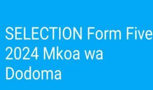 SELECTION Form Five 2024 Mkoa wa Dodoma Waliochaguliwa Kujiunga na Kidato Cha Tano 2024 Mkoa wa Dodoma,Selection Form Five 2023 to 2024 Dodoma, Selection form five 2024 results, Selection form five 2024 pdf download, Selection form five 2024 pdf.