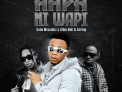 NEW AUDIO | Suma Mnazaleti Ft. Chino Kidd & Gerkey – Hapa Ni Wapi | Download Mp3