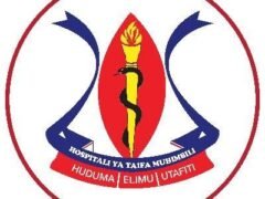 NAFASI za Kazi Hospitali ya Taifa Muhimbili March 2024