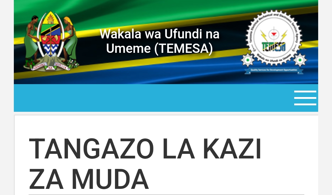 NAFASI 40 za Kazi Kutoka TEMESA April 2024,Nafasi za Kazi Kutoka TEMESA April 2024,TEMESA Job Vacancies April 2024, Jobs Vacancies at TEMESA April 2024, 40 New FORM FOUR and Above Government Jobs at TEMESA April 2024.