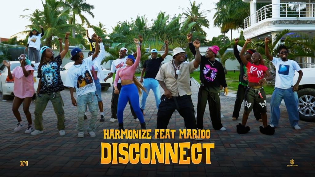 NEW VIDEO | Harmonize Ft. Marioo – Disconnect Download Mp4