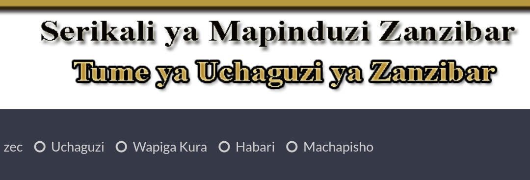 NAFASI za Watendaji Tume ya Uchaguzi Zanzibar ZEC 2024,Nafasi za kazi Tume ya Uchaguzi 2024,Nafasi za kazi tume ya uchaguzi zanzibar 2024,Nafasi za kazi uchaguzi,Ajira portal,Tume ya uchaguzi tanzania.