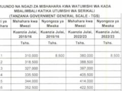 VIWANGO Vya Mishahara ya Watumishi 2024