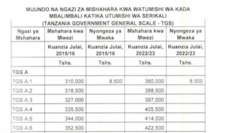 VIWANGO Vya Mishahara ya Watumishi 2024,Viwango vya Mishahara ya Watumishi wa UMMA Mwaka 2024, Viwango vya Mshahara kwa Watumishi wa Umma Tanzania 2024,Viwango vipya Mishahara serikalini 2024/2025, Salary Scale Tanzania 2024/2025,Nafasi za kazi wizara ya elimu 2024.