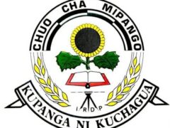 NAFASI za Kazi Kutoka Chuo cha Mipango ya Maendeleo Vijijini IRDP May 21-2024