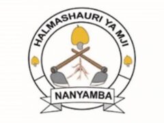 NAFASI 2 Za Mtendaji wa Kijiji Halmashauri ya Mji Nanyamba May 22-2024