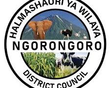 NAFASI za Watendaji wa Vijiji Wilaya ya Ngorongoro May 24-2024