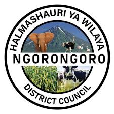 NAFASI za Watendaji wa Vijiji Wilaya ya Ngorongoro May 24-2024, Ajira za Watendaji wa Vijiji Halmashauri ya Wilaya ya Ngorongoro May 24-2024, Nafasi za Kazi za Watendaji wa Vijiji Halmashauri ya Wilaya ya Ngorongoro Leo May 24-2024, Nafasi za Watendaji wa Vijiji May 2024.