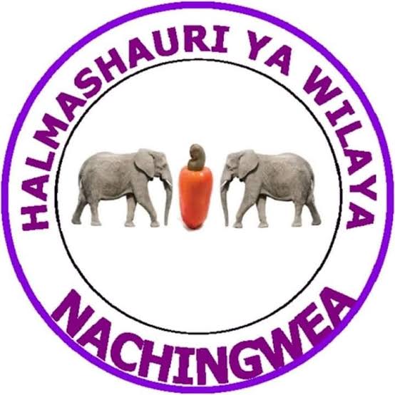 NAFASI za Mtendaji wa Vijiji Wilaya ya Nachingwea May 2024, Nafasi za Mtendaji wa Kijiji Halmashauri ya Wilaya ya Nachingwea May 30-2024, Ajira za Watendaji wa Vijiji Halmashauri ya Wilaya ya Nachingwea May 30-2024, Nafasi Mpya za Kazi za Watendaji wa Vijiji Halmashauri ya Wilaya ya Nachingwea May 2024,TANGAZO LA NAFASI ZA KAZI HALMASHAURI YA WILAYA YA NACHINGWEA 30-05-2024.