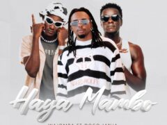 NEW AUDIO | Wajomba Ft. Dogo Janja – Haya Mambo | Download Mp3