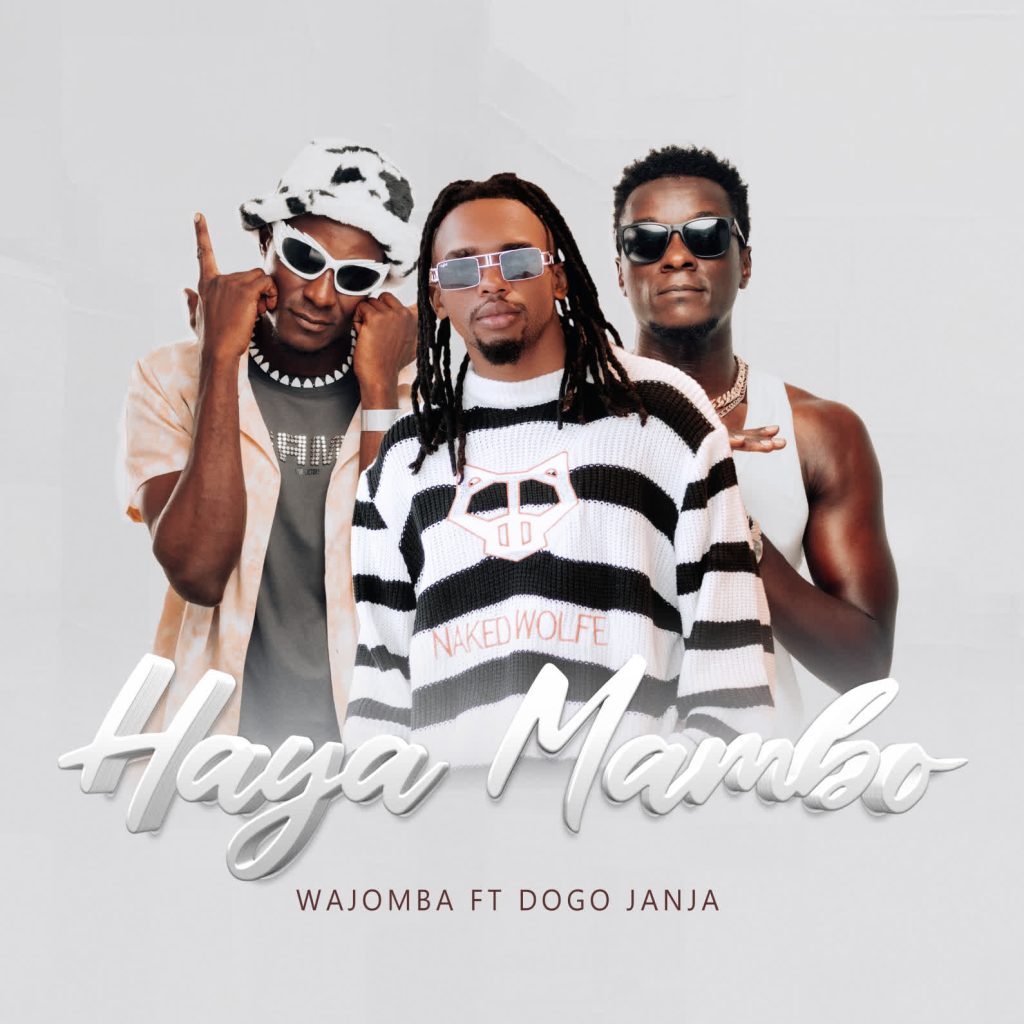 NEW AUDIO | Wajomba Ft. Dogo Janja – Haya Mambo | Download Mp3