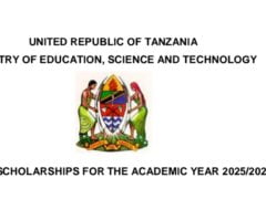 NAFASI za Scholarship kwa Watanzania nchini Brazil 2025/2026