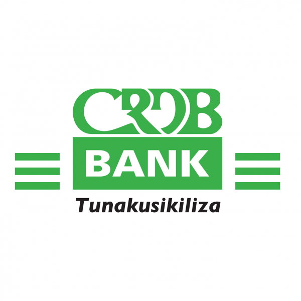 NAFASI za Kazi Kutoka Benki ya CRDB June 2024, IT Support Officer Vacancies at CRDB Bank June 2024,CRDB Bank Vacancies June 2024.