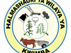 NAFASI za Watendaji wa Vijiji Kutoka Wilaya ya Kwimba June 22-2024