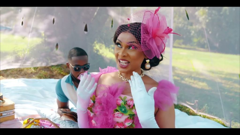 NEW VIDEO | Lulu Diva – Hapa Donwload Mp4