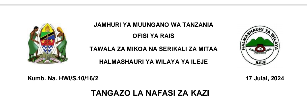 NAFASI 13 za Kazi Wilaya ya Ileje July 17-2024