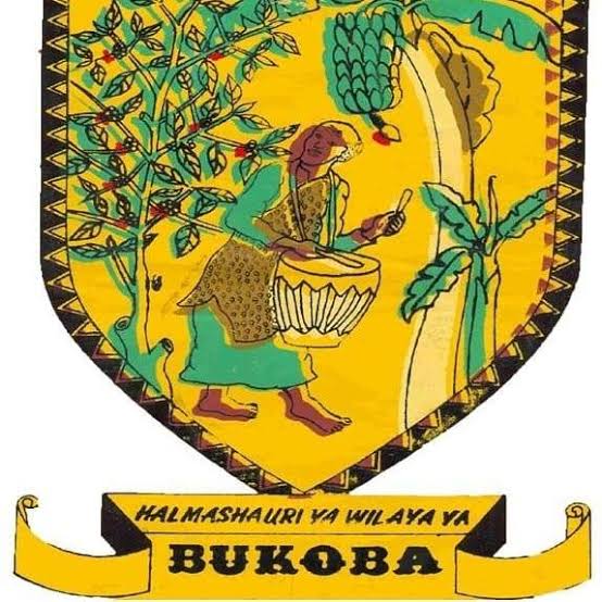 NAFASI za Madereva Kutoka Wilaya ya Bukoba July 01-2024, Nafasi za Kazi za Madereva Kutoka Halmashauri ya Wilaya ya Bukoba July 01-2024.