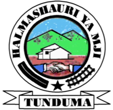 NAFASI za Kazi Tunduma Town Council August 06-2024