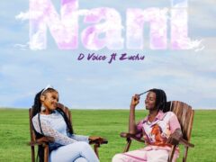 NEW AUDIO | D voice Ft. Zuchu – Nani | Download Mp3