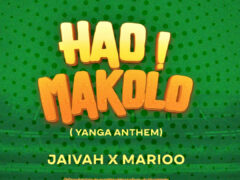 NEW AUDIO | Jaivah X Marioo – Hao Makolo | Download Mp3