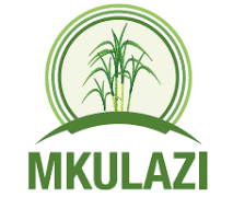 NAFASI 20 za Kazi Mkulazi Holding Company August 2024