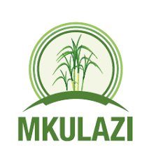 NAFASI 20 za Kazi Mkulazi Holding Company August 2024