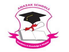 NAFASI za Wauguzi Anazak Pre and Primary School August 2024