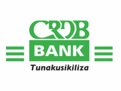 NAFASI za Kazi CRDB Bank August 2024