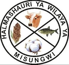 NAFASI za Kazi Misungwi District Council August 2024