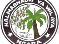 NAFASI za Kazi Ngara District Council August 2024