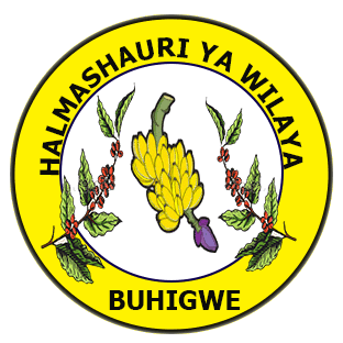 NAFASI 24 za Kazi Buhigwe District Council August 2024